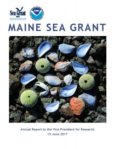 Cover of report featuring urchins and mussel shells arranged in a square on rocky beach.