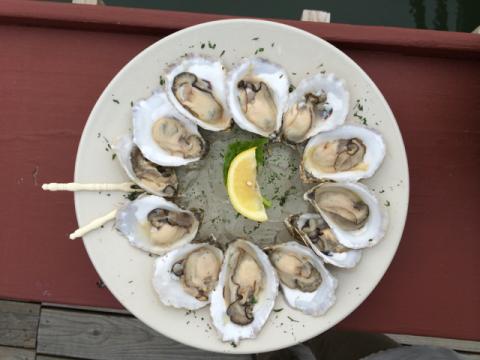 A plate of oysters arranged in a circle.